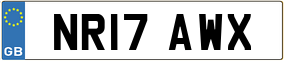 Trailer License Plate
